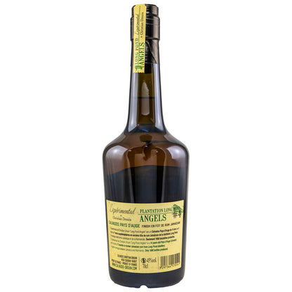 Christian Drouin Experimental Long Pond Angels 14 ans d'âge Long Pond