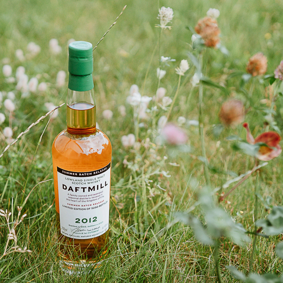 Daftmill 2012/2025 - 12 y.o. - Summer Release