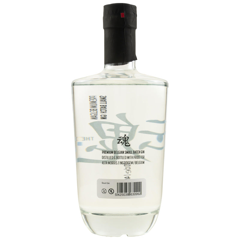 Soul / Tamashi Gin - Asta Morris